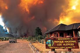 Impacto de los incendios de norte a sur
