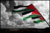 El genocidio palestino